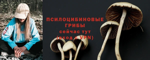 твердый Балахна